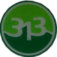 313Group Logo